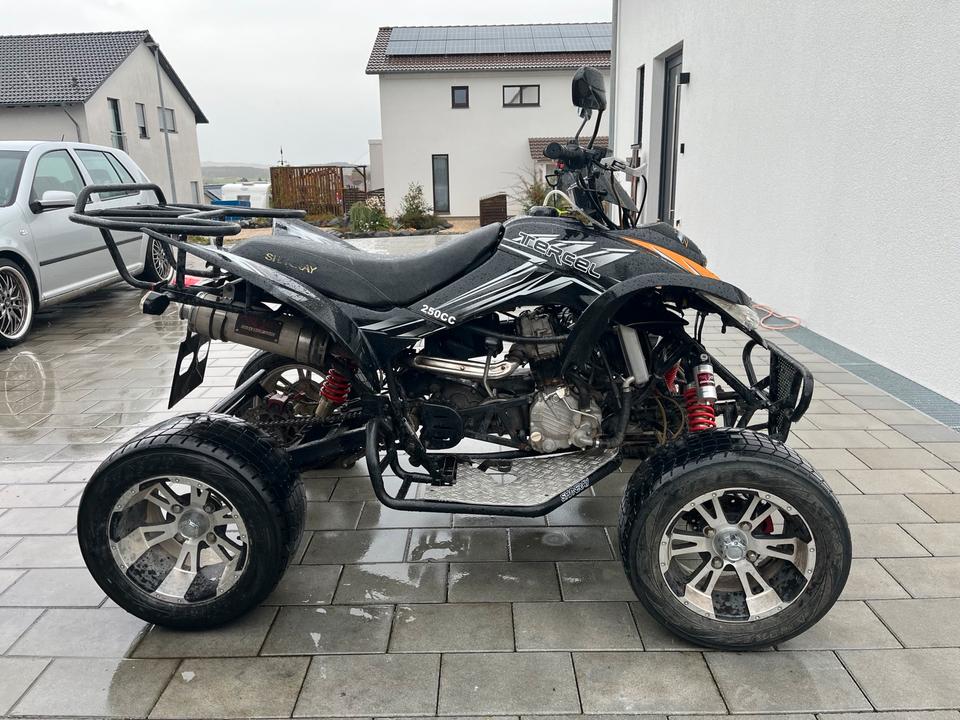 Weitere Motorräder Quad SHINERAY XY250ST-9C 2010 — фото 7