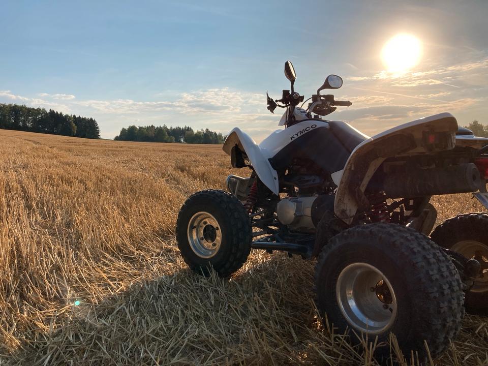 Kymco Maxxer 300 2012 — rear view