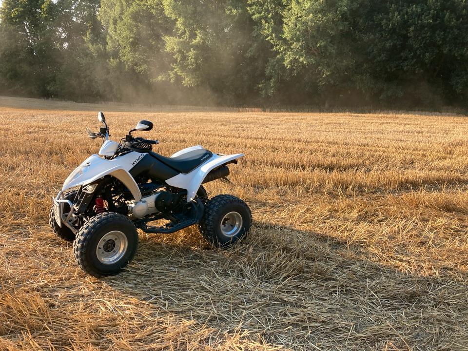 Kymco Maxxer 300 2012 — interior