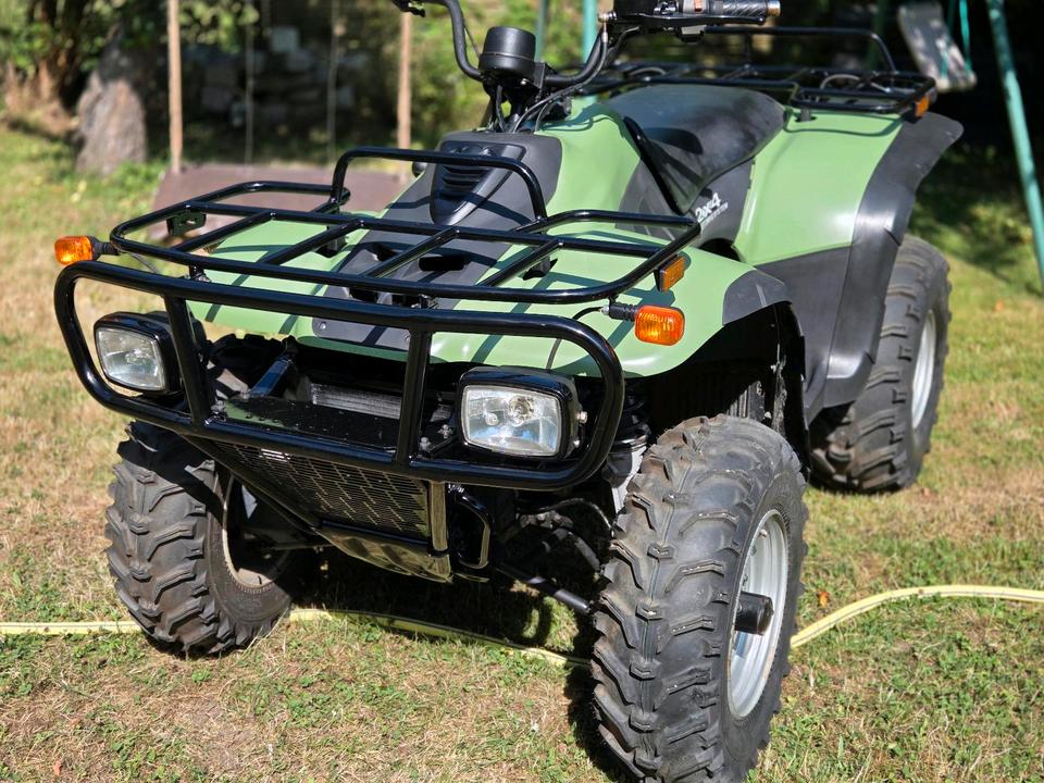 Yamaha Quad Linhai 260 (Yamaha), 2007