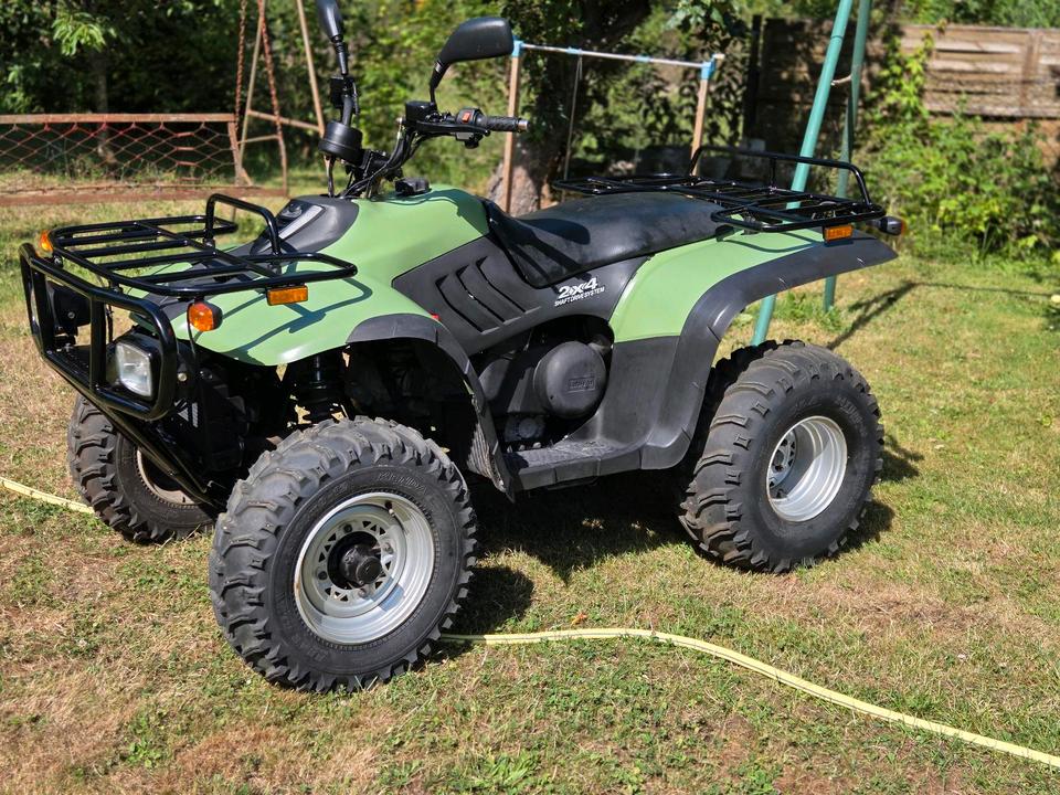 Yamaha Quad Linhai 260 (Yamaha) 2007 — rear view
