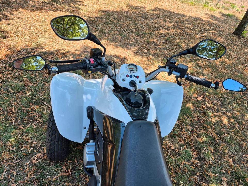 Kymco TOP Kymco Maxxer 250 Quad KXR ATV 250/300 TÜV Neu 2011 — photo 6