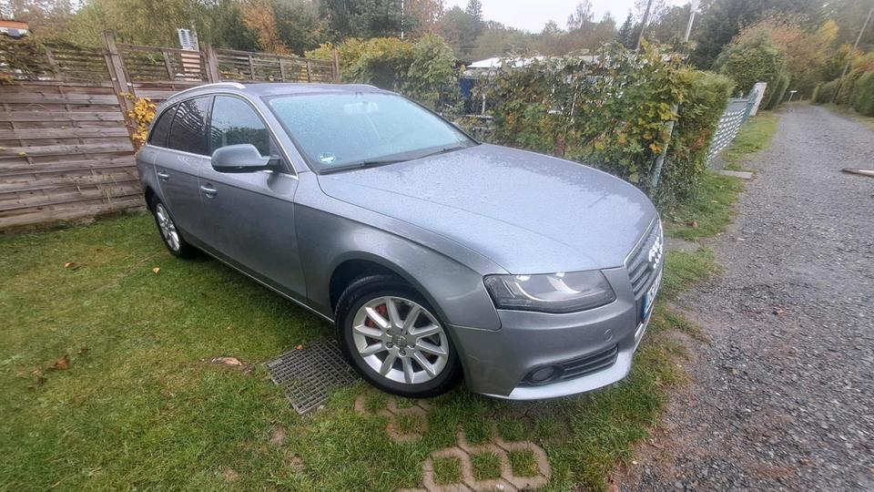 Audi A4 2010 — вигляд ззаду