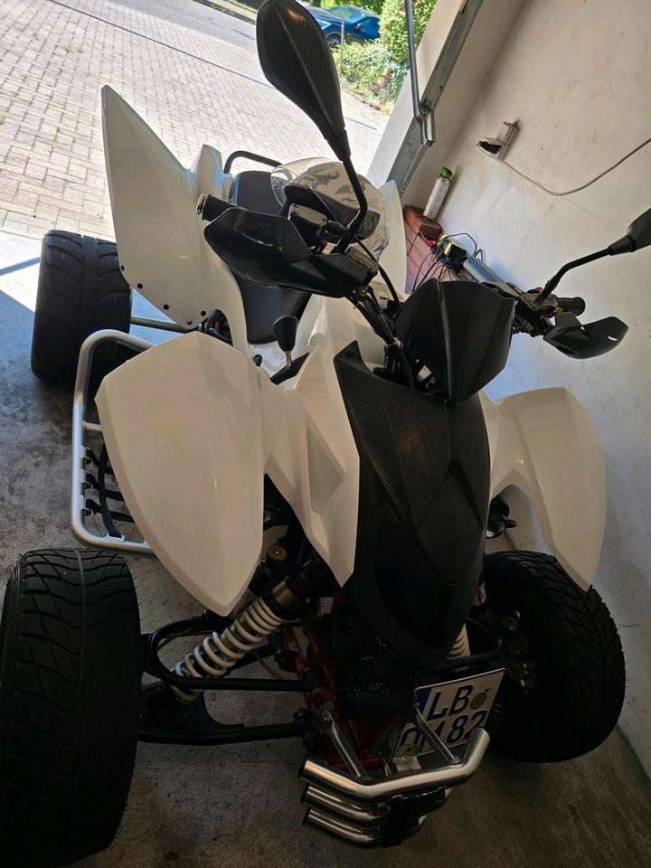 Weitere Motorräder Triton Quad Access Supermotor 400 EFI wenig Km Sehr guter Zustand 2013 — вигляд ззаду