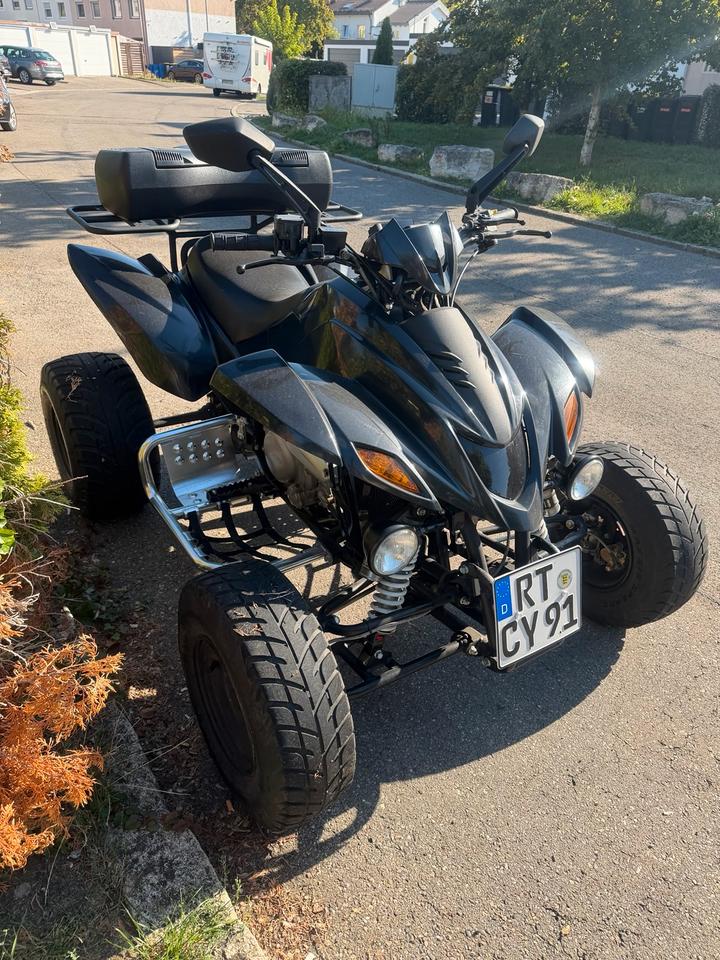 Weitere Motorräder Dinli 450 S Special Quad 2015 — rear view