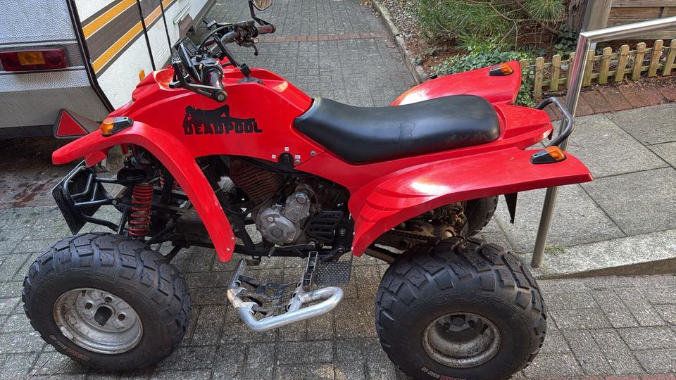 Weitere Motorräder ATV 300 ccm 2004 — engine 300 ccm