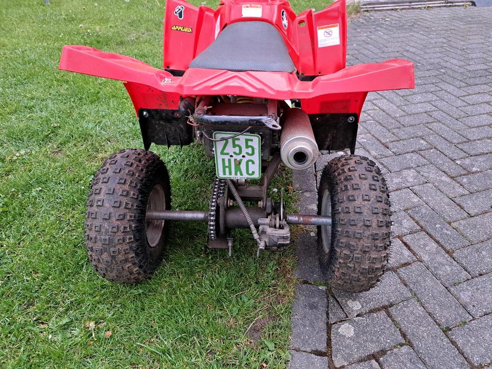  Quad Kinderquad 2009 — салон