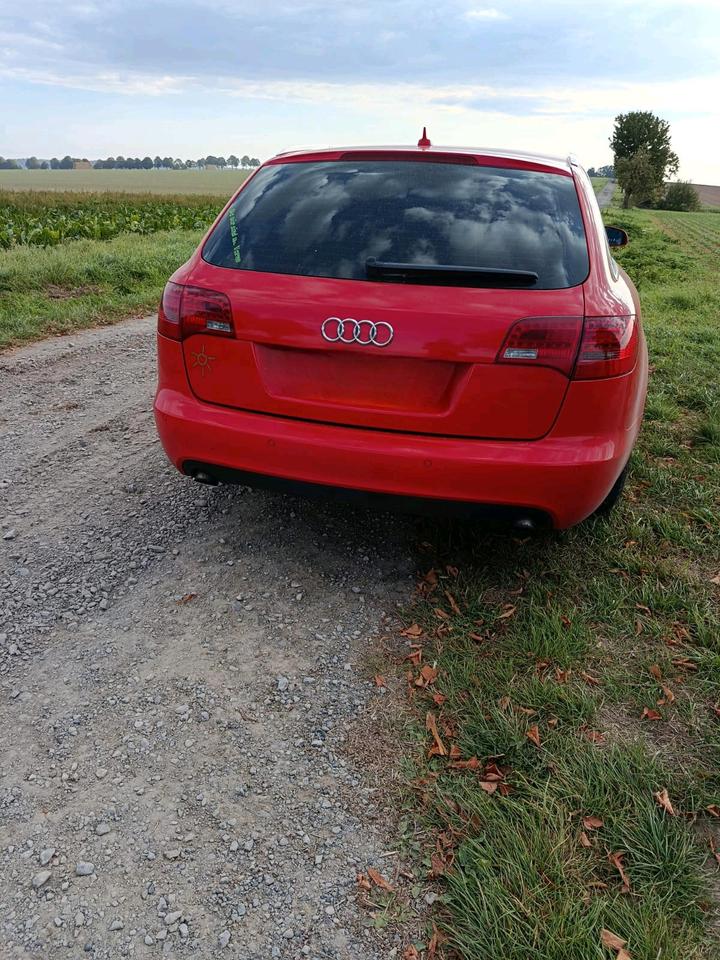 Audi A6 2007 — rear view