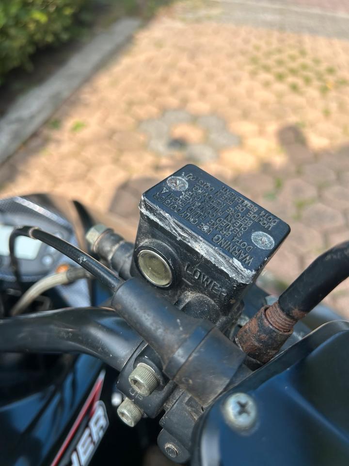 Weitere Motorräder Quad Explorer Trasher 520 LOF 2014 — photo 6