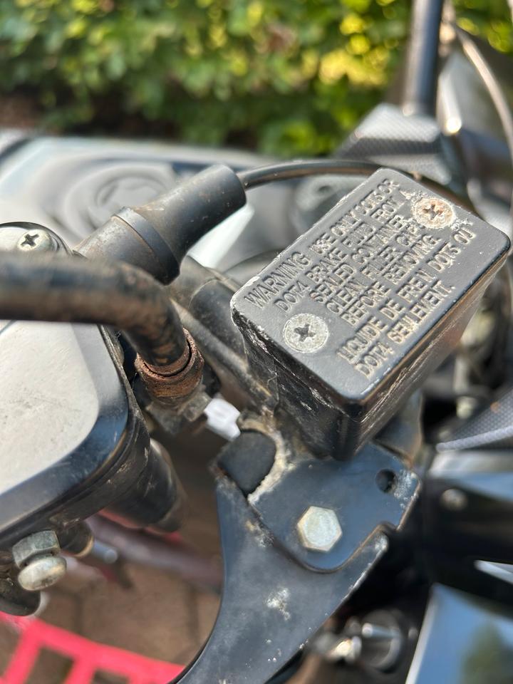 Weitere Motorräder Quad Explorer Trasher 520 LOF 2014 — photo 7