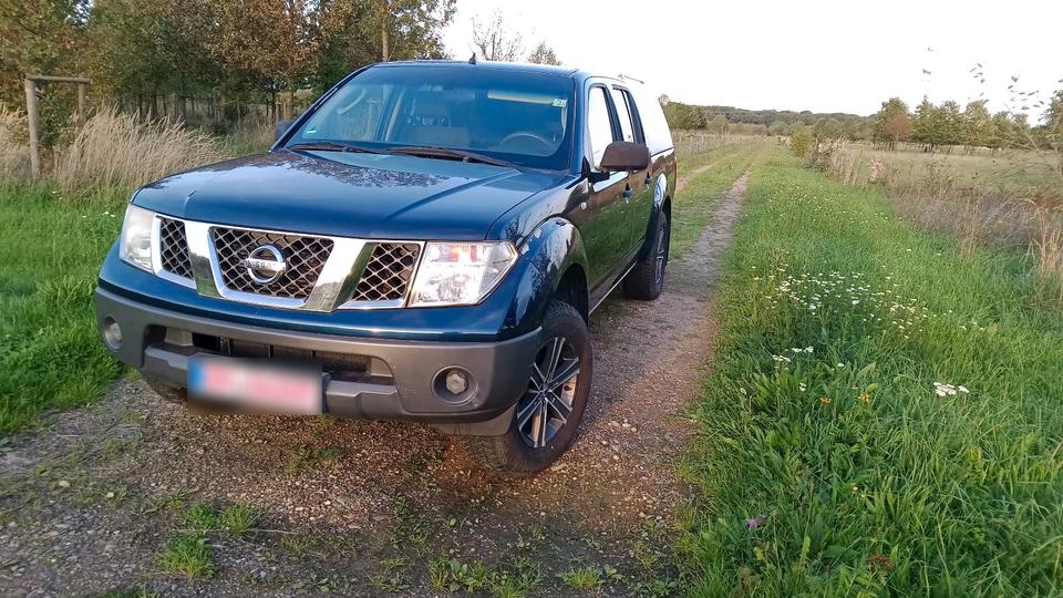 Nissan Navara 2007 — rear view