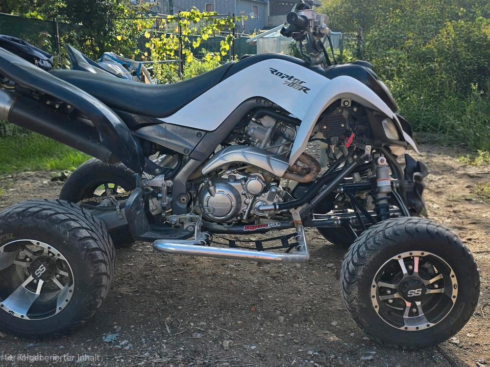 Yamaha RAPTOR 700R 2012 — вигляд ззаду