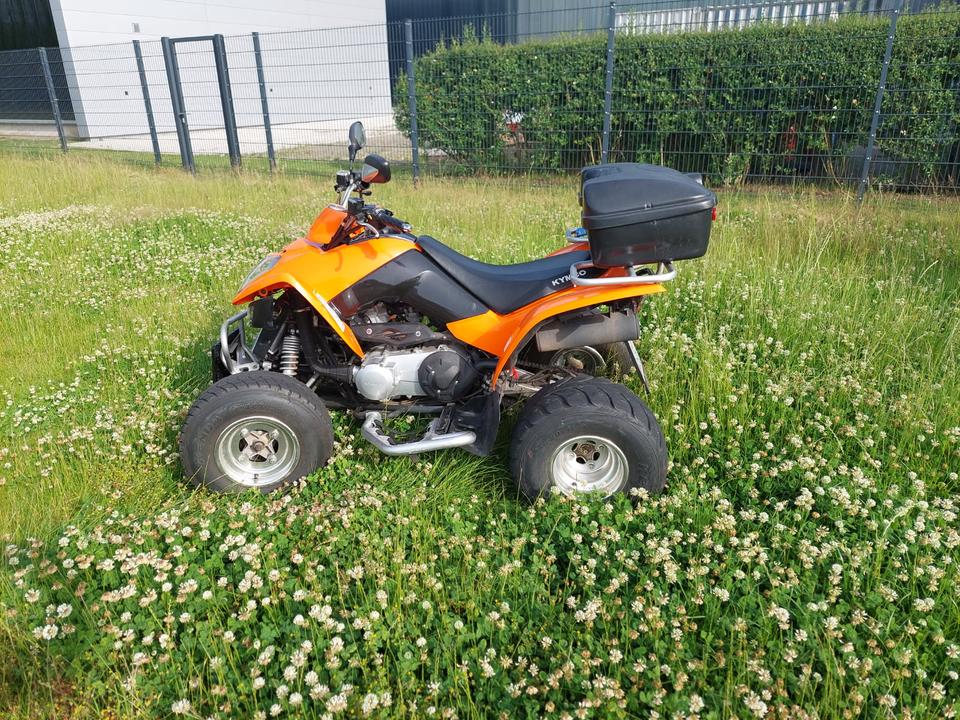 Kymco Quad Kymco Maxxer 300 2013 — rear view