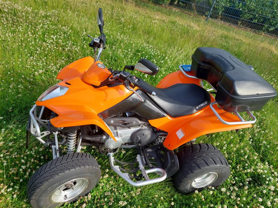 Kymco Quad Kymco Maxxer 300 2013 — interior