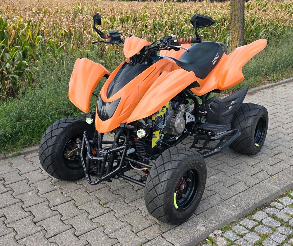 Weitere Motorräder quad Dinli 450 Tuv 2027 keine LOF 2007 — interior
