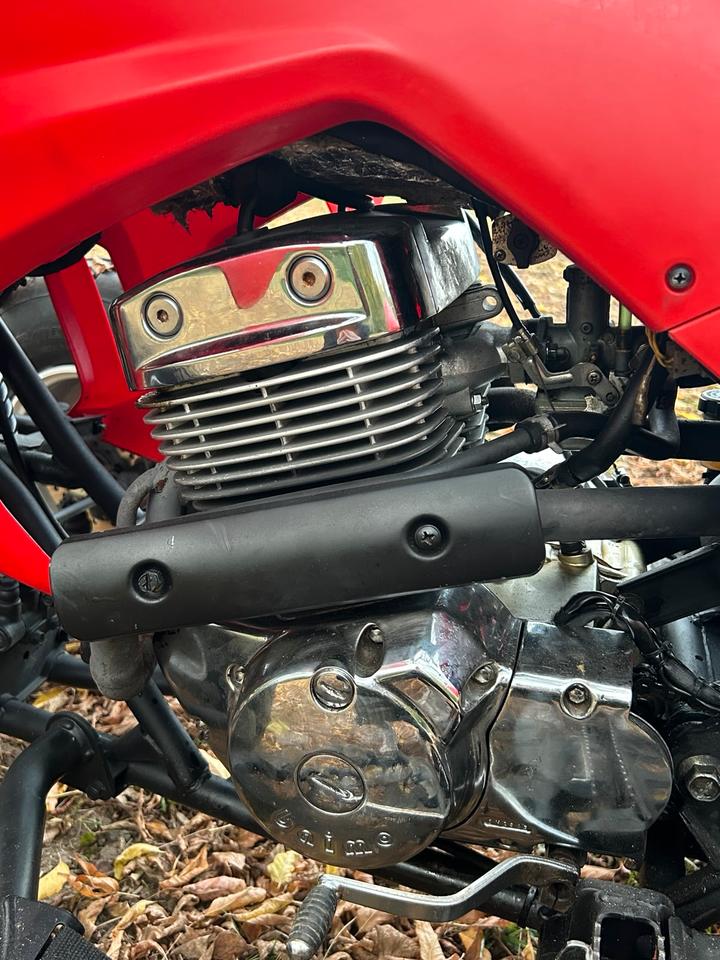 Weitere Motorräder Quad CPI 250 ccm 2007 — двигун 250 ccm