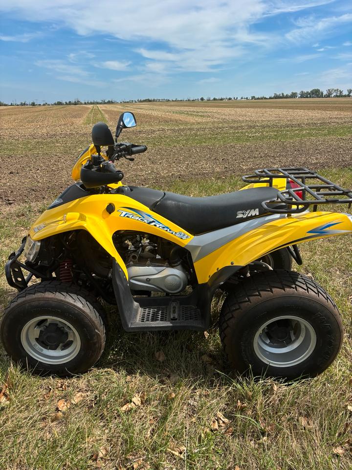 Weitere Motorräder Quad ATV 200ccm Automatik 2005 — photo 11