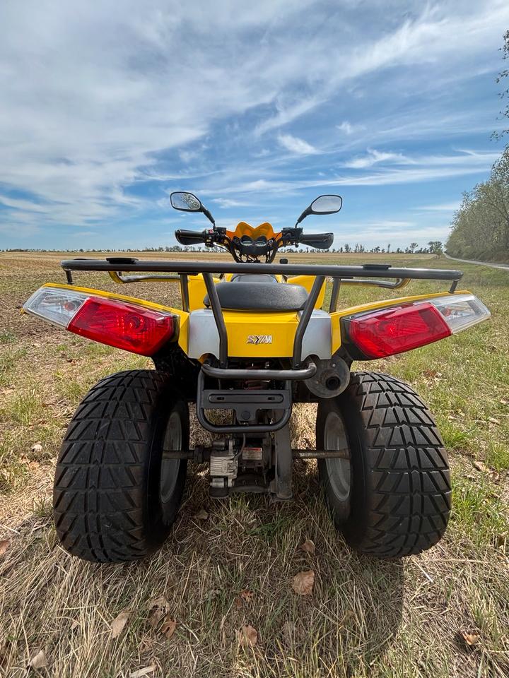 Weitere Motorräder Quad ATV 200ccm Automatik 2005 — photo 16