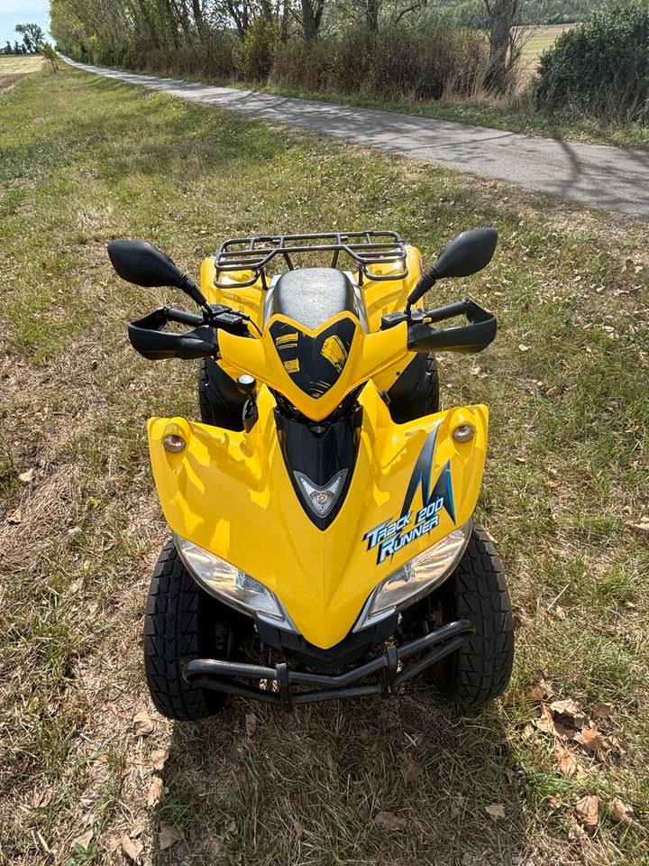 Weitere Motorräder Quad ATV 200ccm Automatik 2005 — rear view