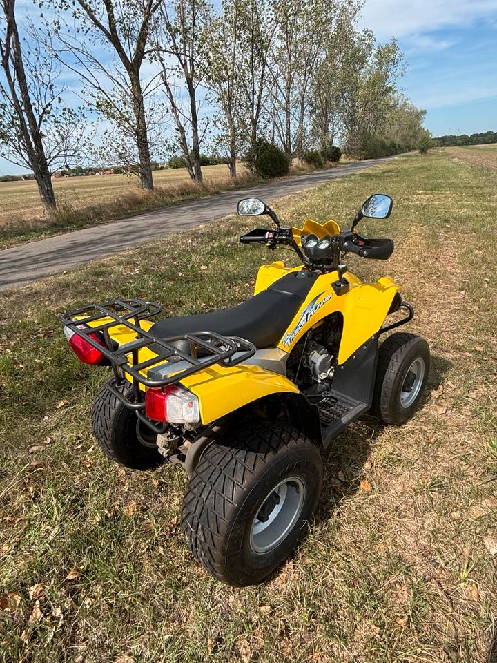 Weitere Motorräder Quad ATV 200ccm Automatik 2005 — photo 5