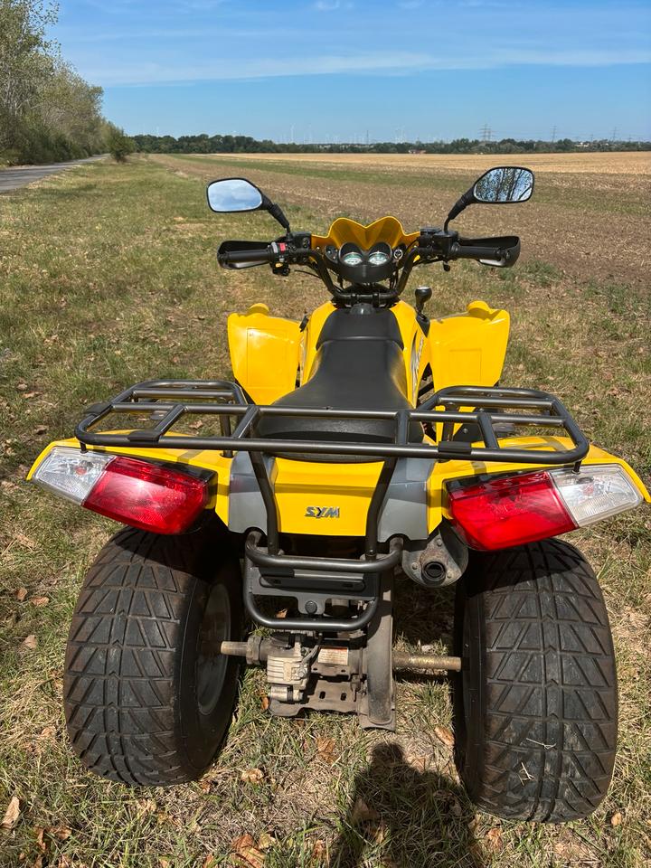Weitere Motorräder Quad ATV 200ccm Automatik 2005 — photo 9