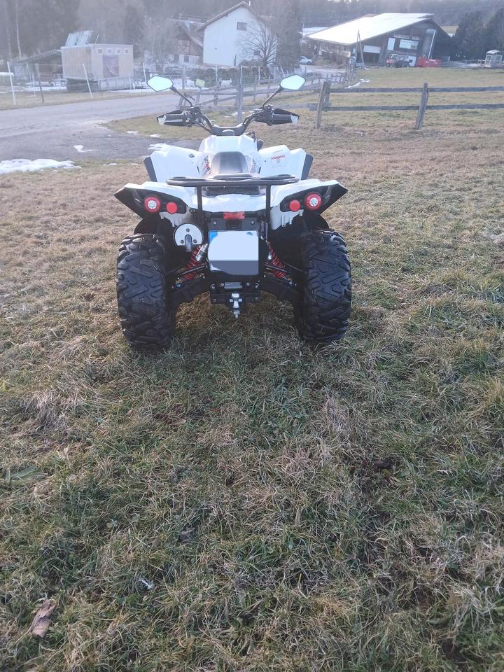 Weitere Motorräder Quad Explorer urano 700 2013 — вигляд ззаду