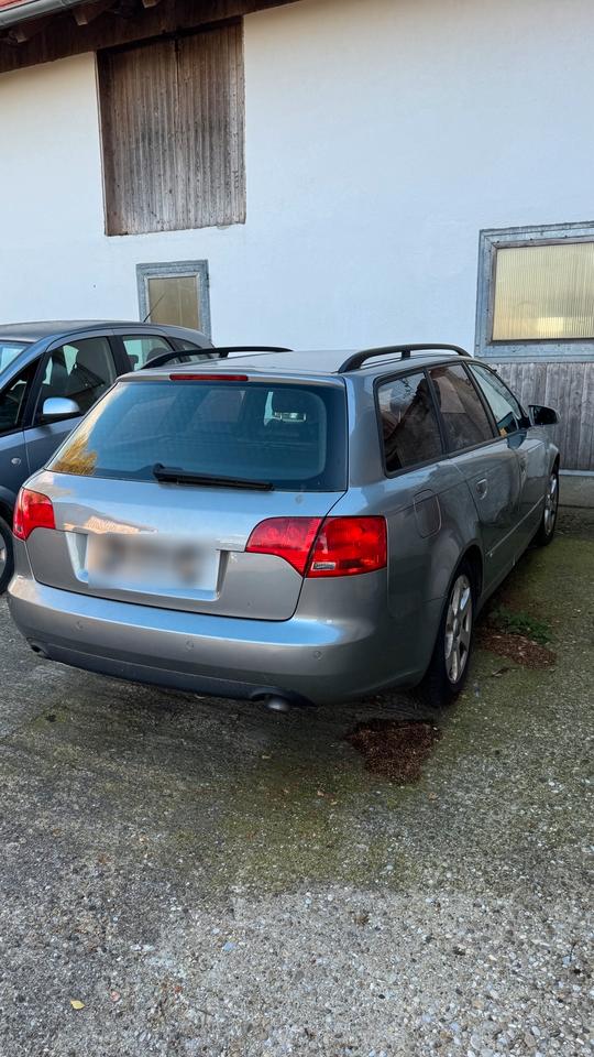 Audi A4 2009 — вигляд ззаду