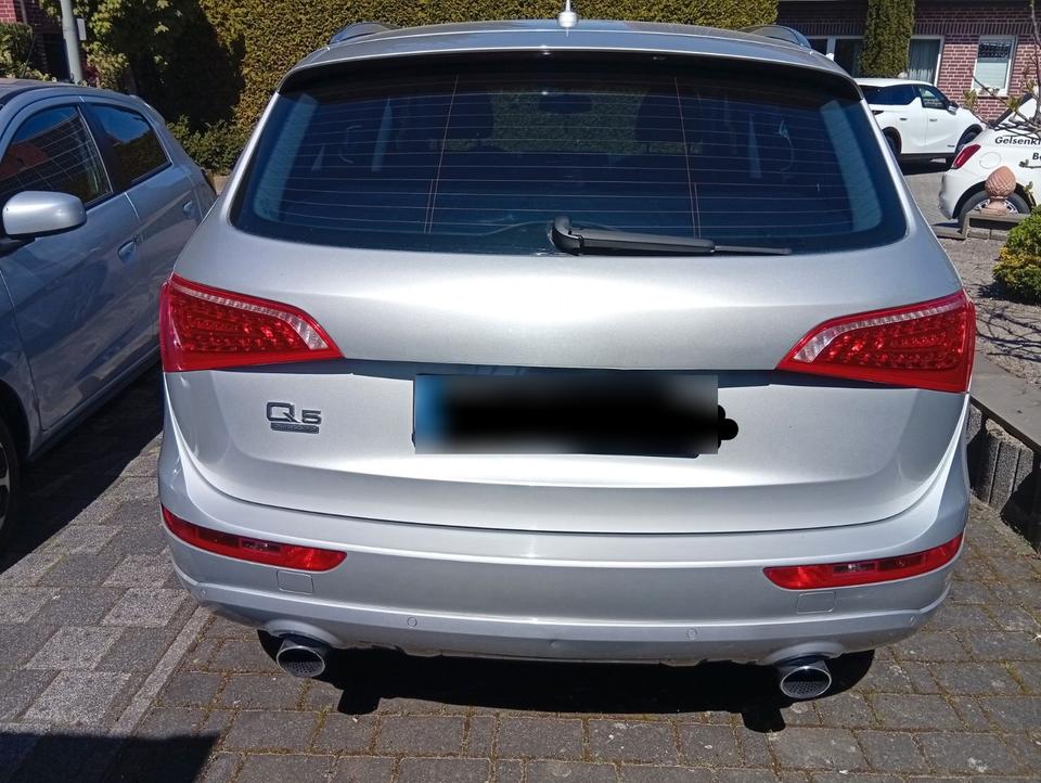 Audi Q5 2009 — вигляд ззаду
