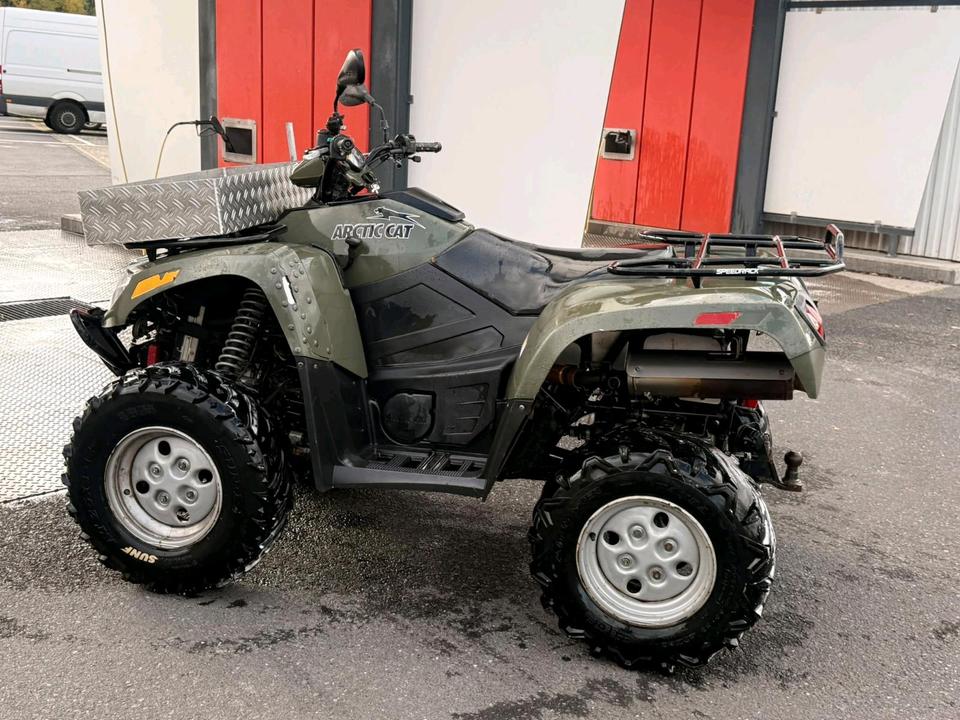  Quad Arctic Cat 650 4x4 LOF 2009 — rear view