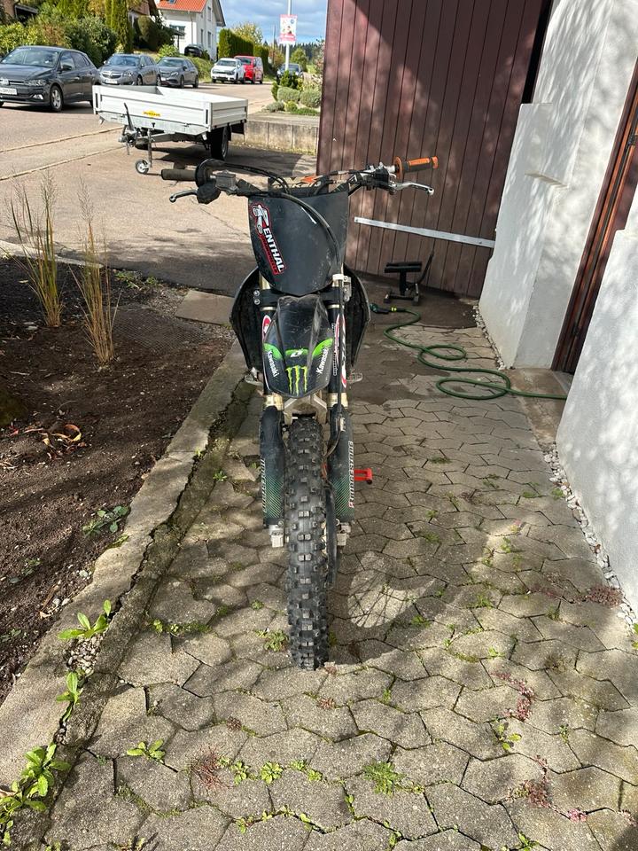 Kawasaki Kawsaki KX 250f BJ: Motocross 2009 — rear view