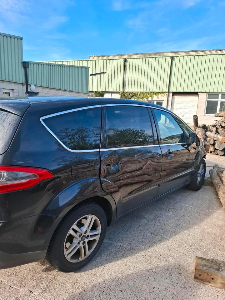 Ford S-Max 2010 — rear view