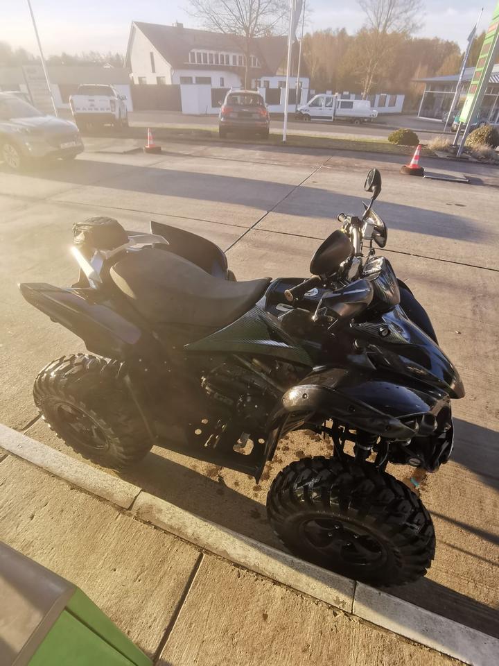 Weitere Motorräder Gelöscht • TGB Target 550 EFI 4x4 IRS LOF Quad mit TÜV neu 2013 — вигляд ззаду