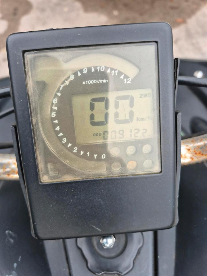 Weitere Motorräder Quad Lonchin 250 ccm 18 ps 2014 — photo 9