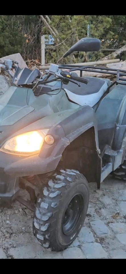 Weitere Motorräder quad adly 320 atv 2009 — rear view