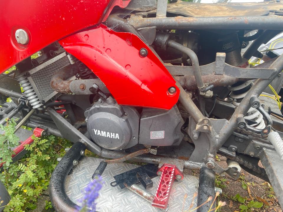  Bashan BS300 S18 Quad 2009 — салон