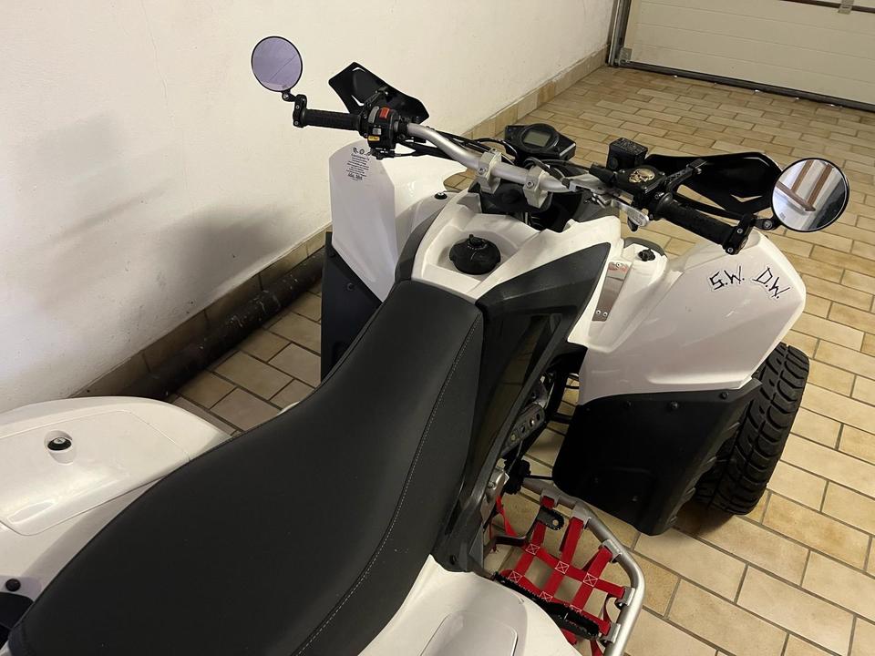 Weitere Motorräder Gelöscht • Beeline Bestia 3.3 SM Nur 7300 KM TÜV Service Neu 2013 — engine 282 ccm