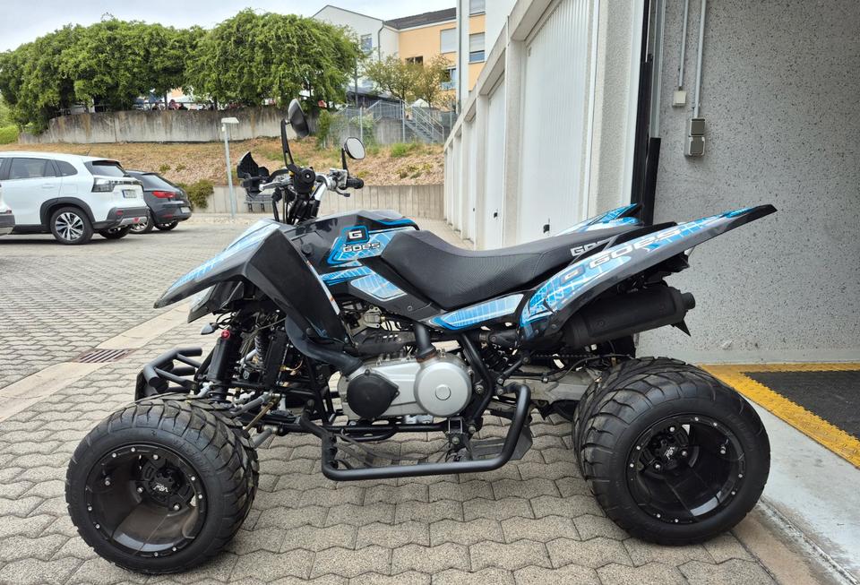 Weitere Motorräder Gelöscht • Quad zu Verkaufen an Bastler 2015 — rear view