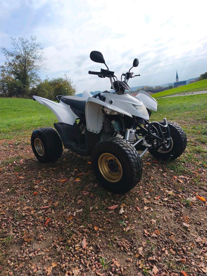  Aeon Cobra 400 Quad/ATV 2014 — rear view
