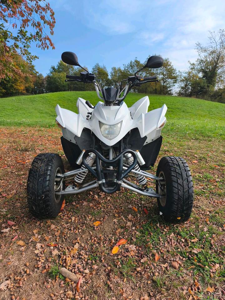  Aeon Cobra 400 Quad/ATV 2014 — interior
