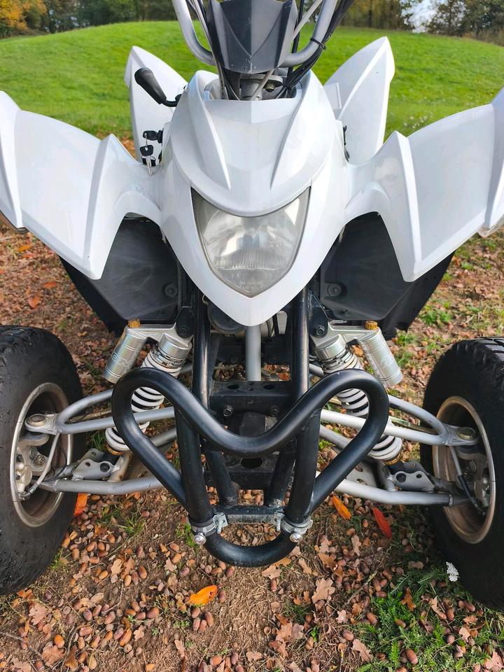  Aeon Cobra 400 Quad/ATV 2014 — engine 346 ccm