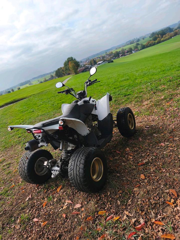  Aeon Cobra 400 Quad/ATV 2014 — photo 5