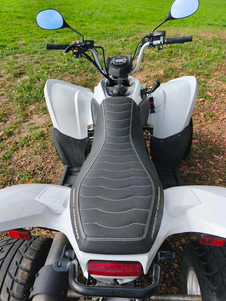  Aeon Cobra 400 Quad/ATV 2014 — photo 7