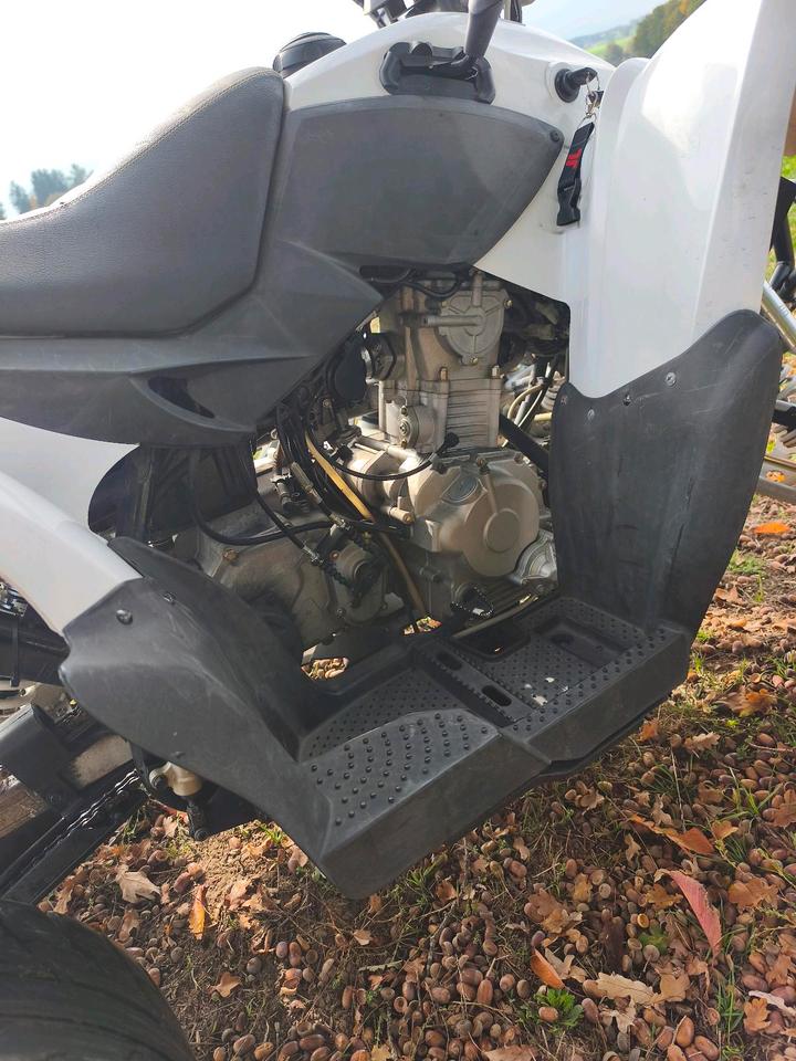  Aeon Cobra 400 Quad/ATV 2014 — photo 9
