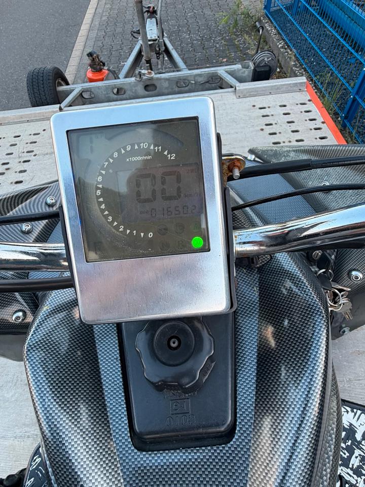 Weitere Motorräder Gelöscht • Quad 250 ccm 2013 — engine