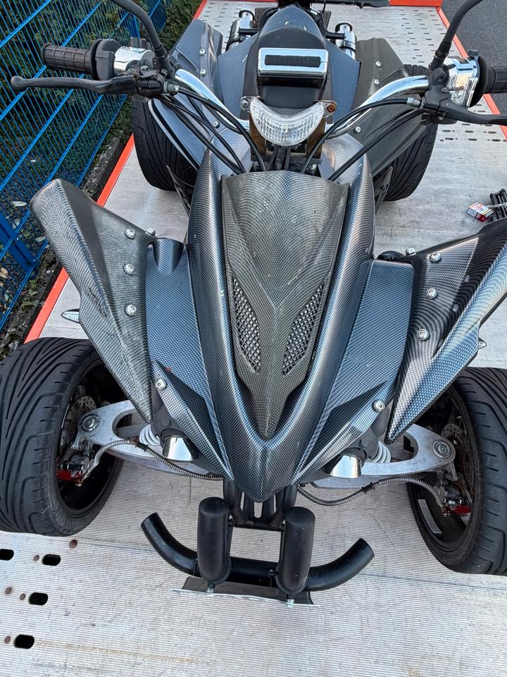 Weitere Motorräder Gelöscht • Quad 250 ccm 2013 — photo 5