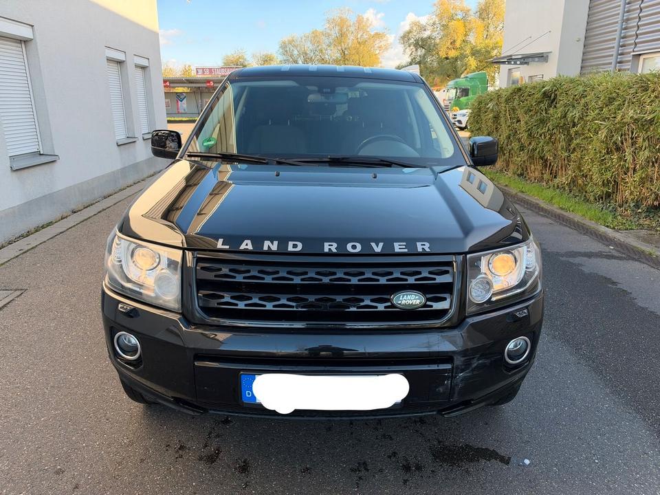 Land Rover Freelander 2014 — вигляд ззаду