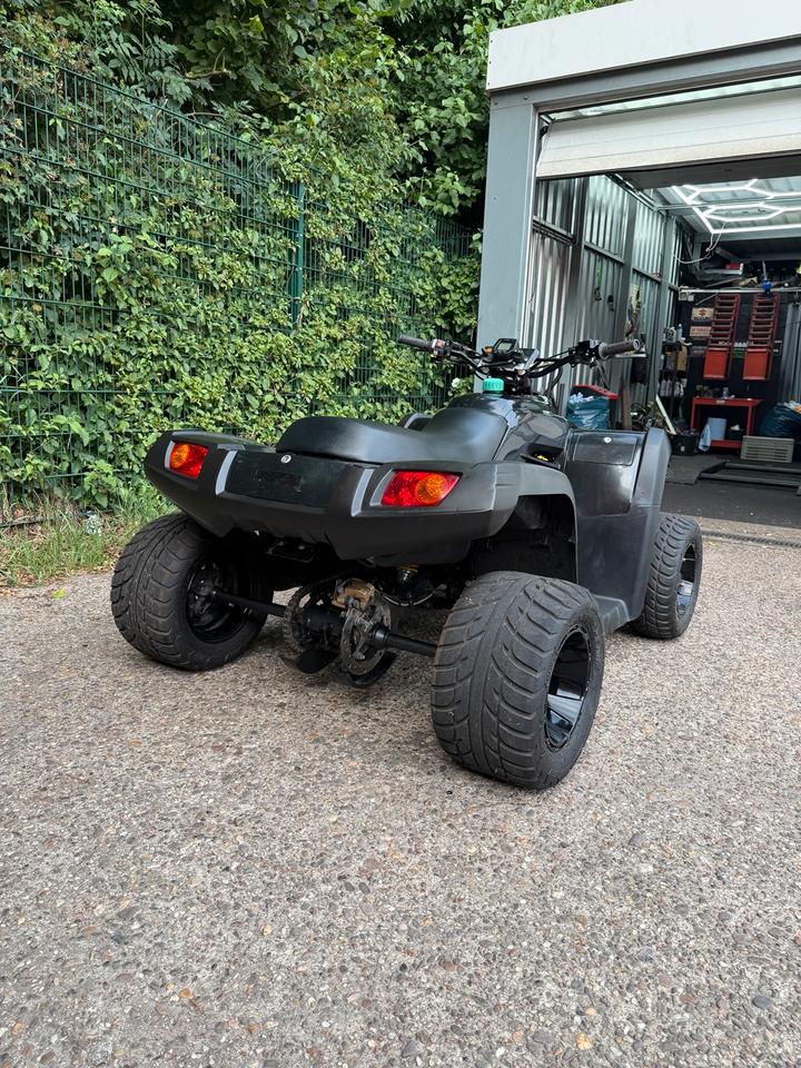 Dinli Masai 450R Sumo Umbau (LOF Zulassung) 2011 — vehicle for AFU Ukraine