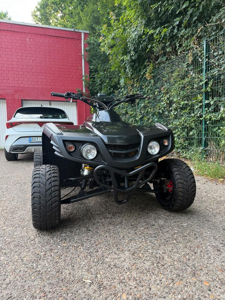  Dinli Masai 450R Sumo Umbau (LOF Zulassung) 2011 — rear view
