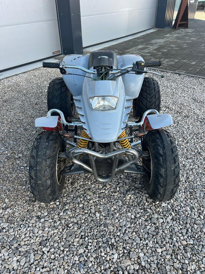 Weitere Motorräder SMC Barossa 250 Quad heute 400€ 2005 — photo 12