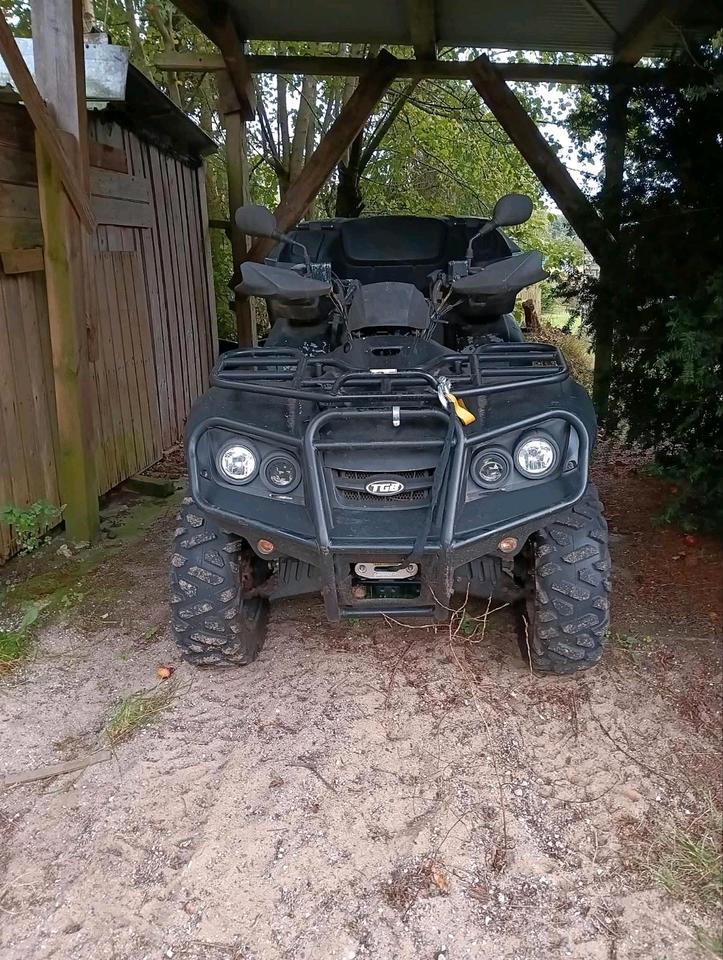 Weitere Motorräder Quad atv TGB Blade 550 2011 — rear view
